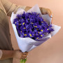 25 синих ирисов
