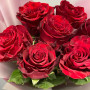 7 бордовых роз фото 2