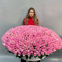 501 розовой розы «Очарование»